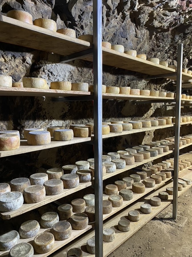 Artesanos del Queso