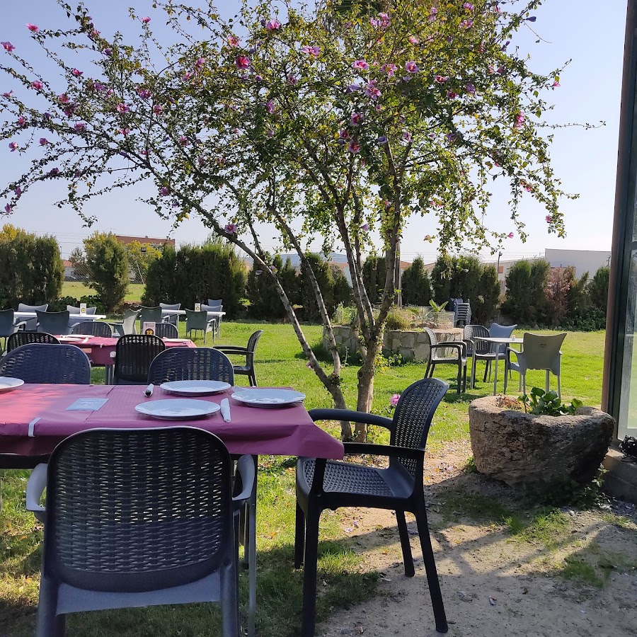 Bar terraza Tioky