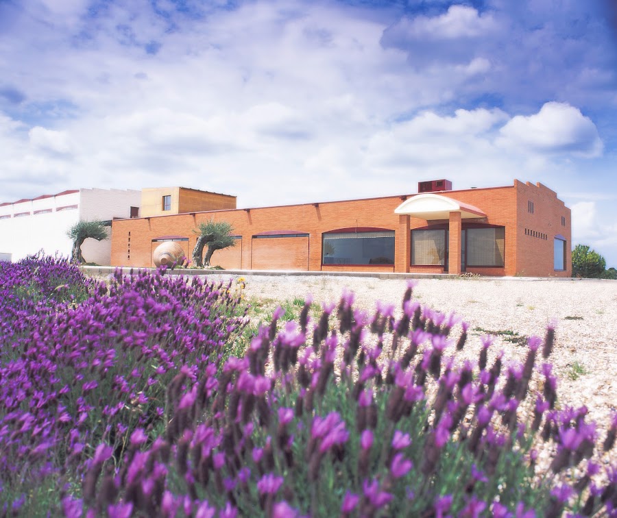 Bodega Cyan