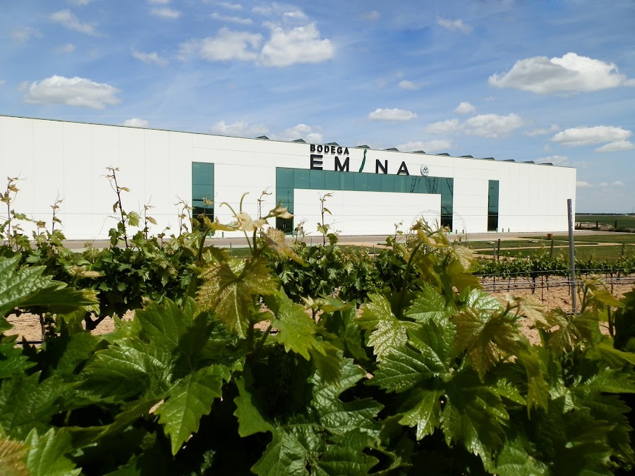 Bodega Emina Rueda