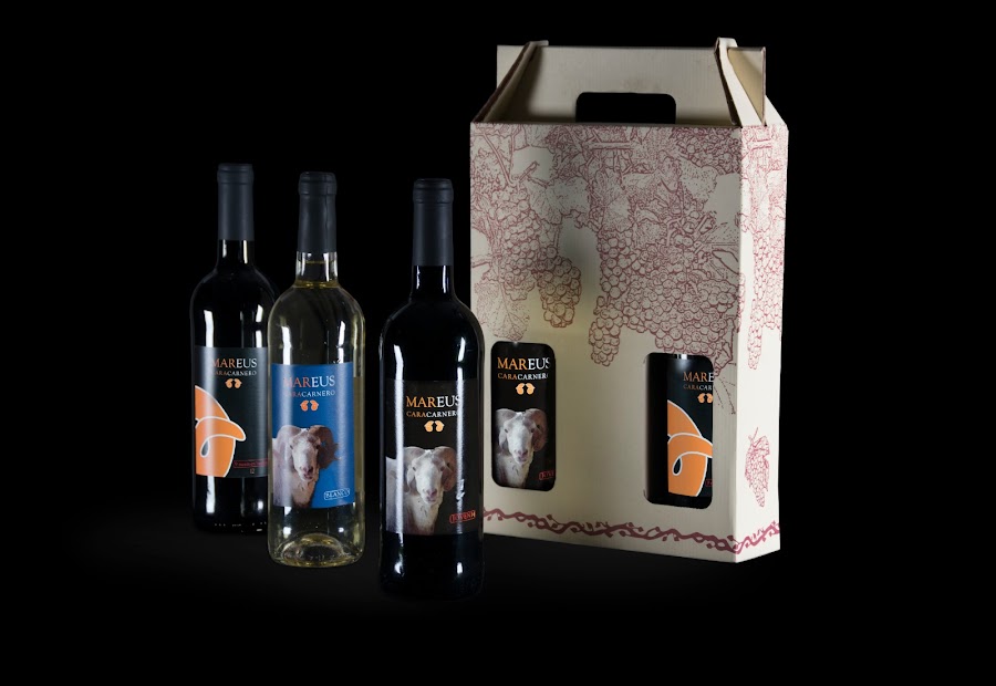 Bodega MAREUS