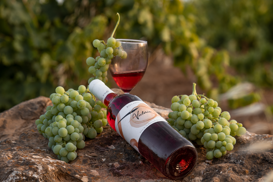 BODEGAS BORAITA