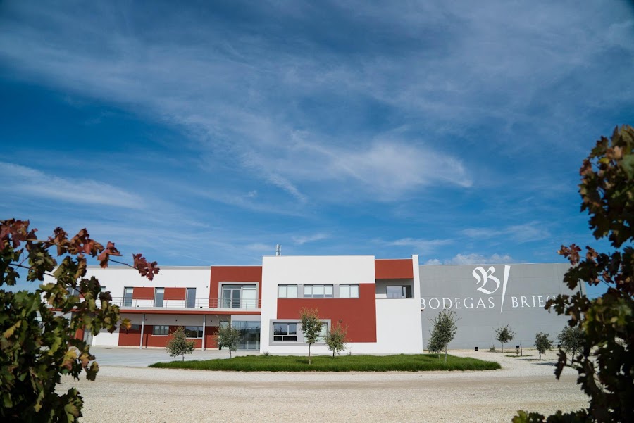 Bodegas Briego - Ribera del Duero