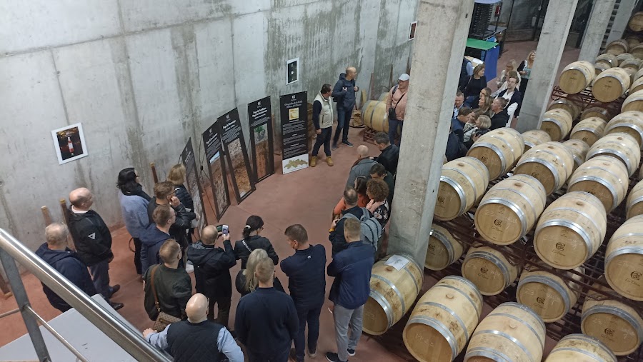 Bodegas Convento De Las Claras