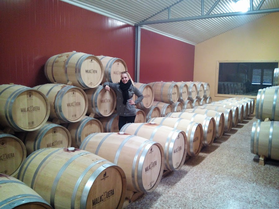 BODEGAS MALACUERA