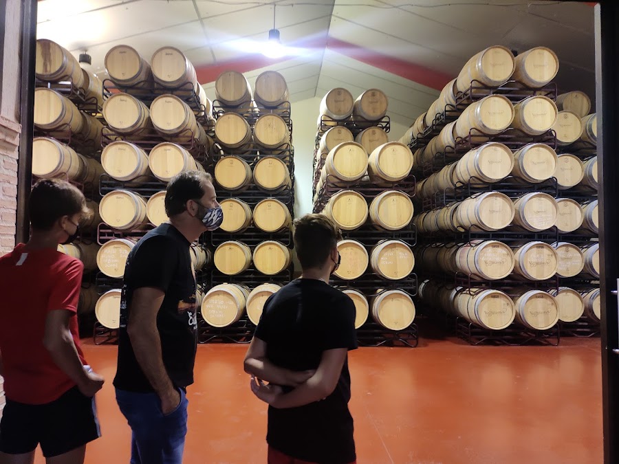 Bodegas Veganzones SL
