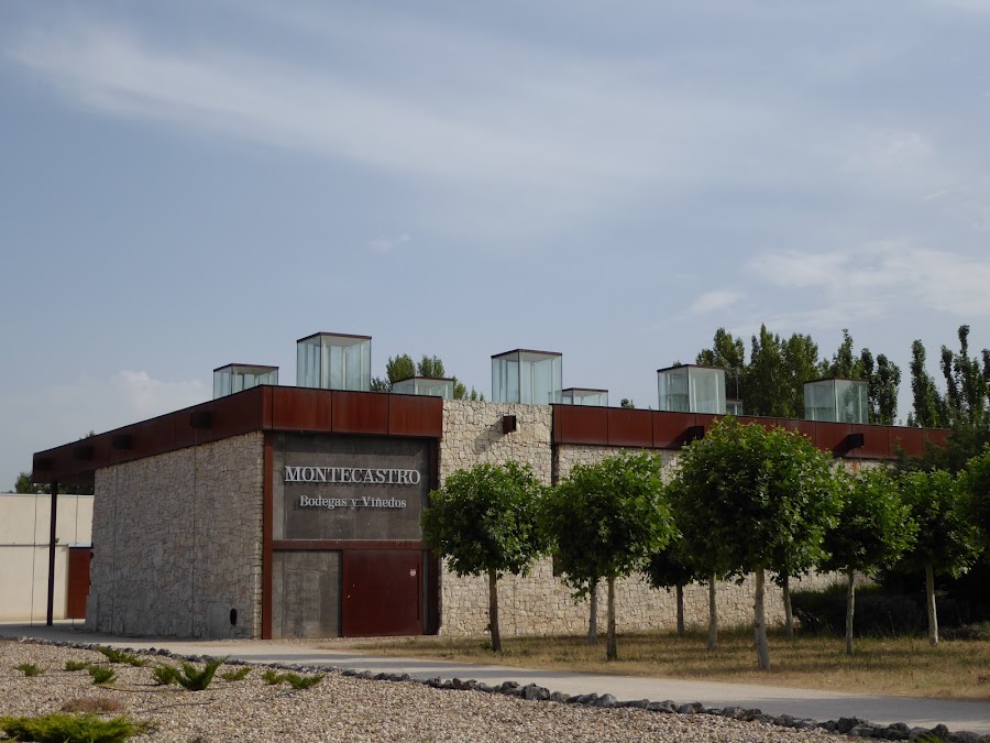 Bodegas y Viñedos Montecastro, S.A.