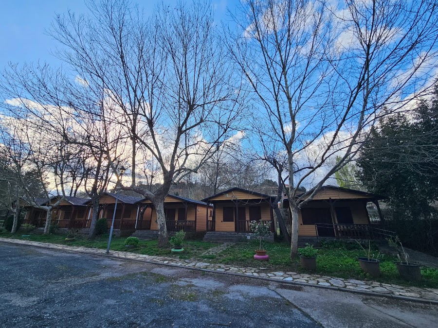 Camping - Bungalows Del Pino