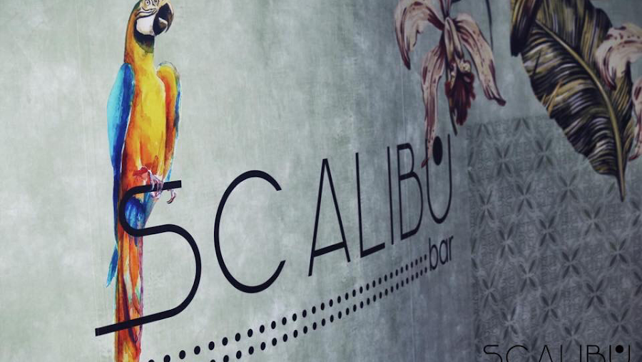 Disco Bar Scalibu