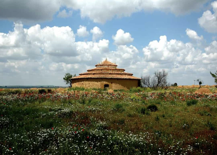 Palomar en Barcial de la Loma