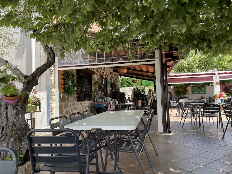 Cafetería Enigma