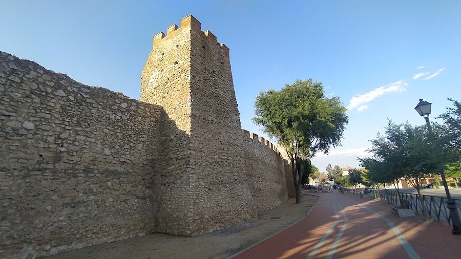 Muralla de Olmedo